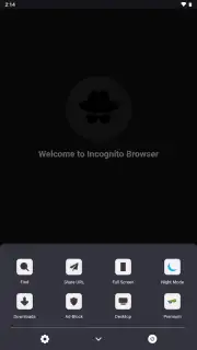 Private Browser capture 1