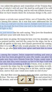 Ebook Reader capture 5