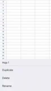 Google Sheets capture 16