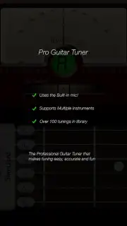 Pro Guitar Tuner capture 4