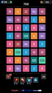 2248 Puzzle capture 7
