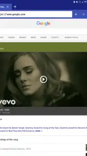 Skynet Browser capture 10