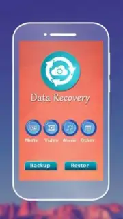 Data Recovery capture 4