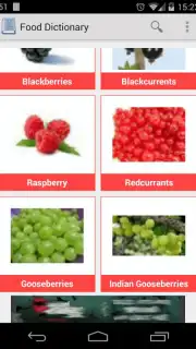 Food Dictionary capture 4