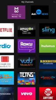Roku capture 8