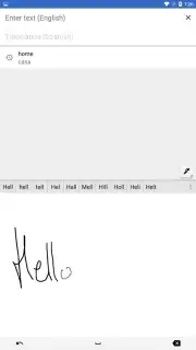 Google Translate capture 4