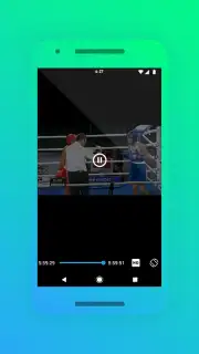 IPTV PRO capture 4