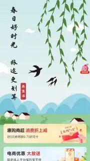 UnionPay capture 6