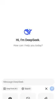 DeepSeek capture 1
