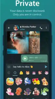 TG Connect capture 4