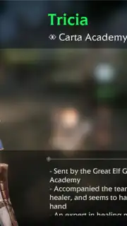 Bless Global capture 11