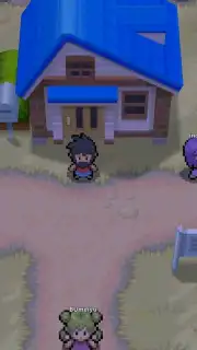 PokeMMO capture 6