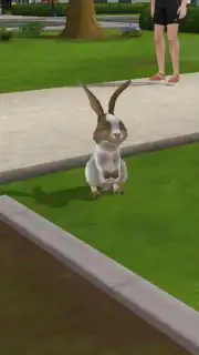 Virtual Sim Story: Dream Life capture 5