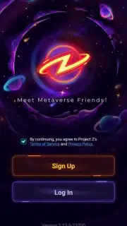 Meta Z capture 7