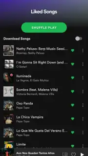 Spotify capture 17