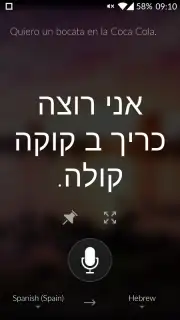 Microsoft Translator capture 2