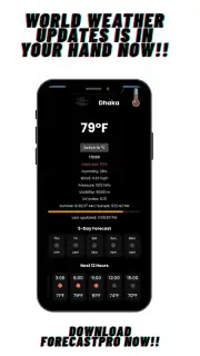 ForecastPro capture 3