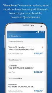 Halkbank capture 5