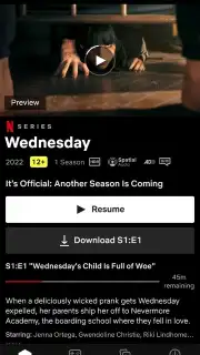 Netflix (Android TV) capture 9