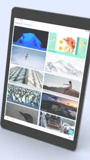 Android 13 Launcher capture 10