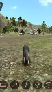 The Wolf capture 7