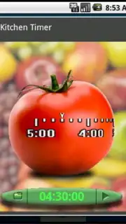 Kitchen timer capture 2