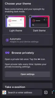Iceraven Browser capture 4