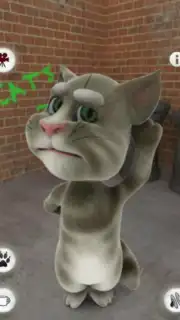 Talking Tom Cat capture 6