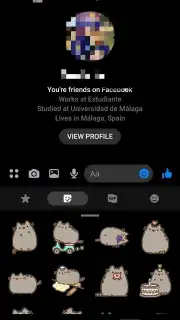 Messenger capture 9