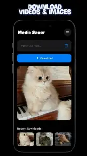 Media Saver capture 4