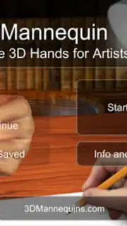 Hand Mannequin capture 8