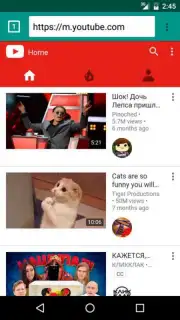 Soni indian browser capture 3