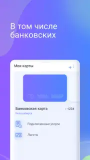 Транспортная карта capture 1