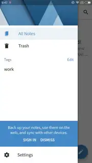 Simplenote capture 2
