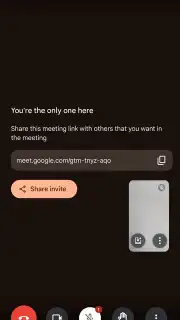 Google Meet capture 15