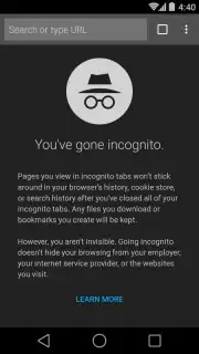 Chrome Canary capture 6