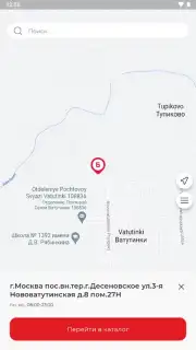 Бристоль capture 6