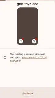 Google Meet capture 16