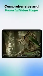 VidHub capture 15