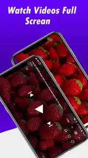 Fast Youtube Downloader capture 2