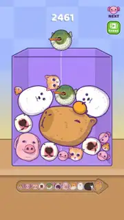 Merge Fellas capture 7