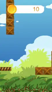 cat bros capture 12