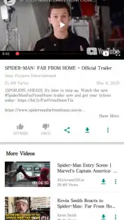 VidPaw App capture 2