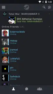 Steam Chat capture 8