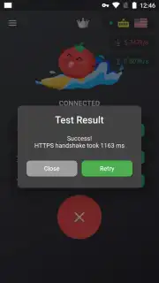 VPN Tomato capture 2
