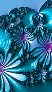 MandelBrowser capture 20