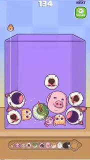 Merge Fellas capture 2
