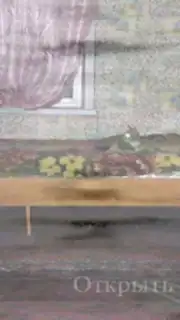 Пять Ночей С Ёжиком capture 3