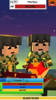 VindCraft capture 6