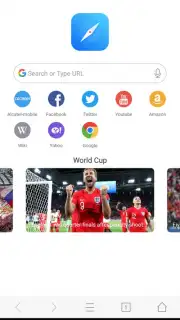 Mini Private Browser: Fast Search, Download, No Ad capture 7